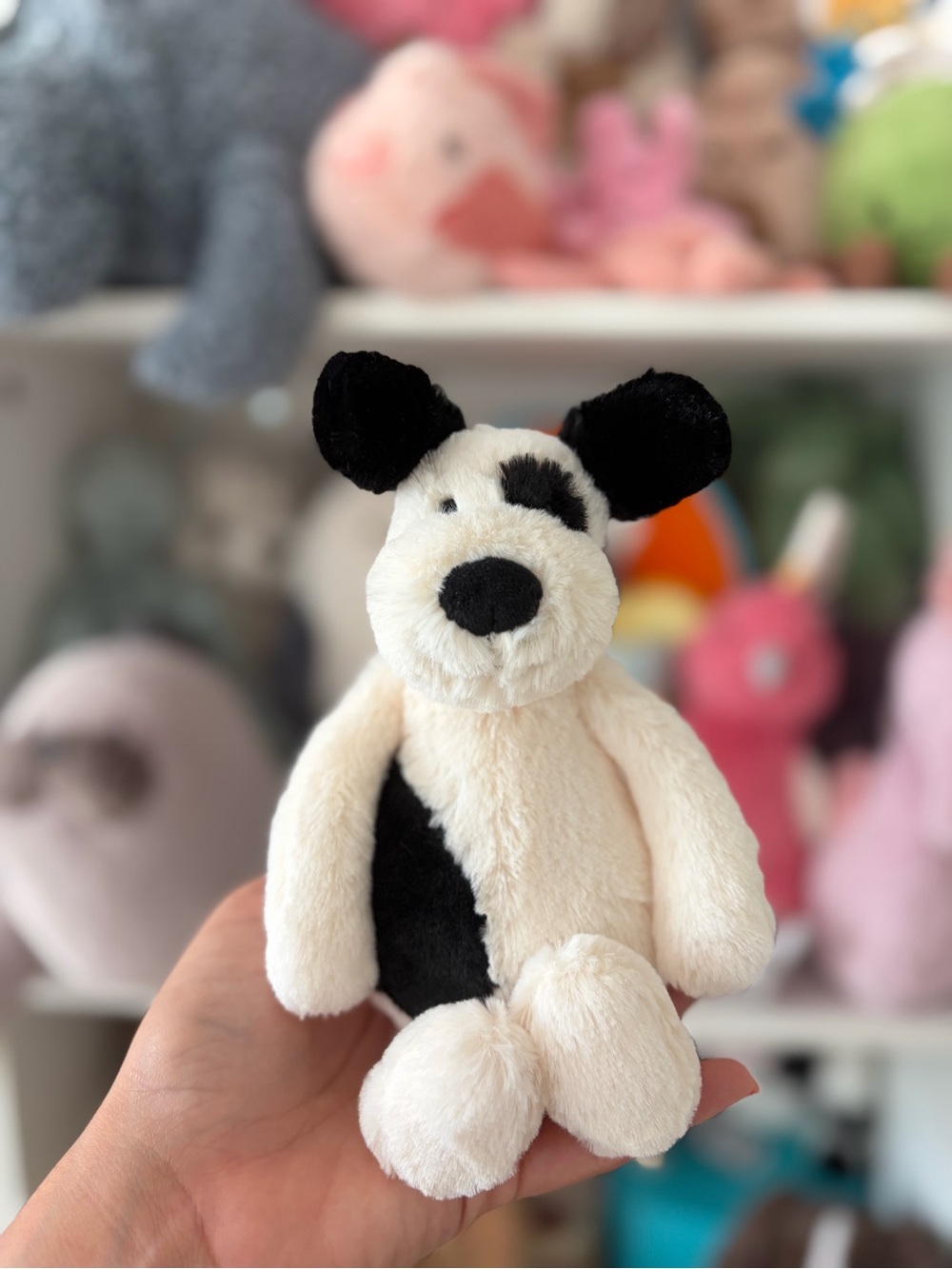 Jellycat Little Bashful Black & Cream Puppy - Authentic & BNWT!
